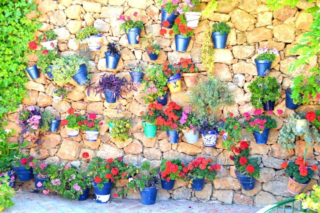 Casita Tranquila Villa Almeria Bagian luar foto